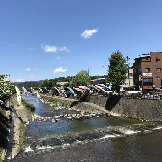宮川に鯉のぼりが・・爽やかでした🤗