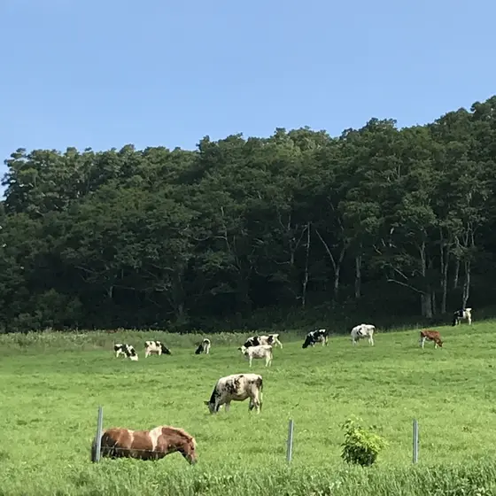城岱牧場