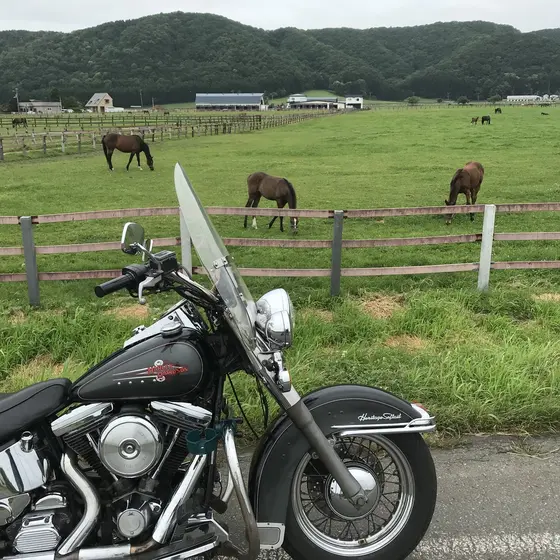 新冠