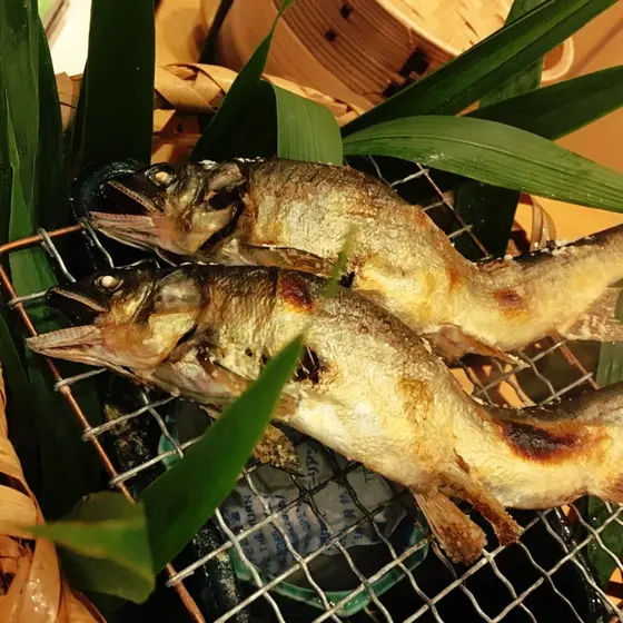 鮎の塩焼き