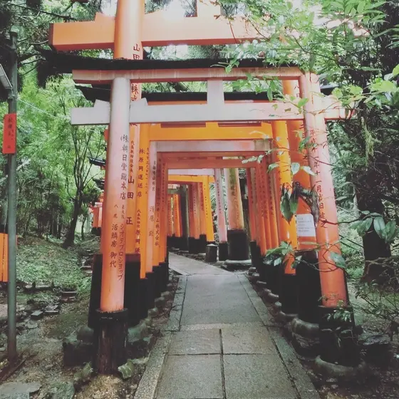 鳥居が幻想的でした。