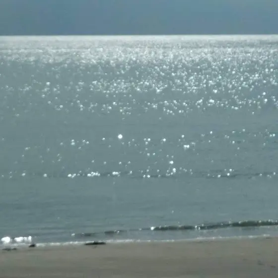キラキラ輝く秋の海