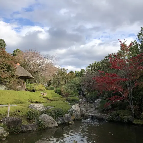 退蔵院 ひょうたん池