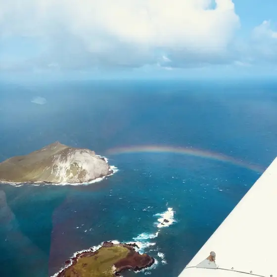 虹🌈