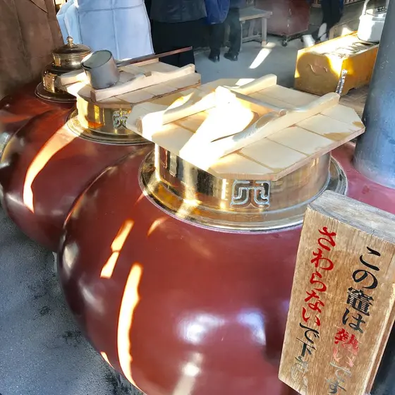 スポット内のおすすめ