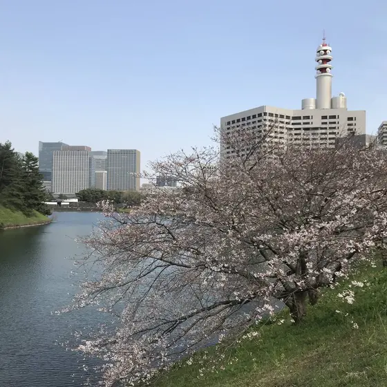 堀