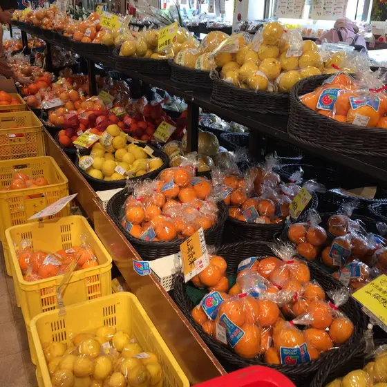 スポット内のおすすめ