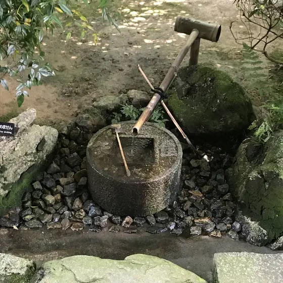 蹲