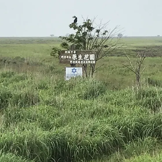 野付半島 原生花園