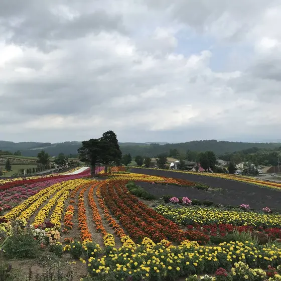 せるぶの丘