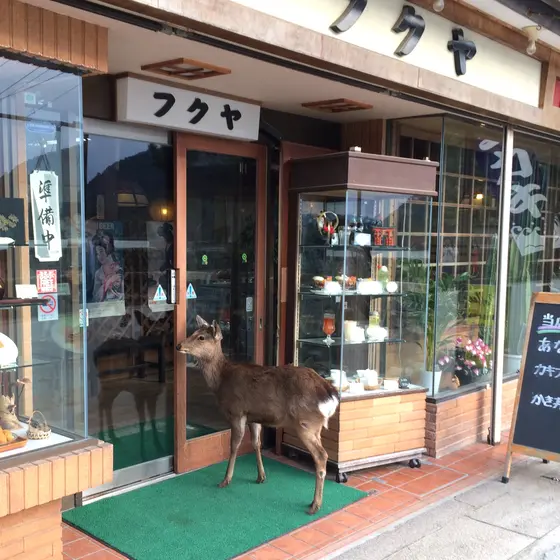スポット内のおすすめ