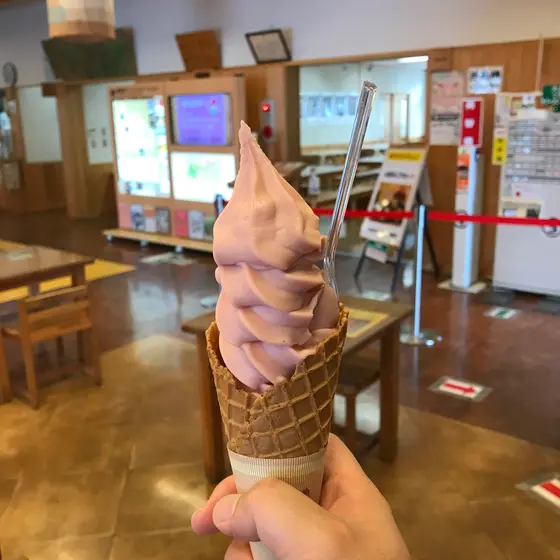 スポット内のおすすめ