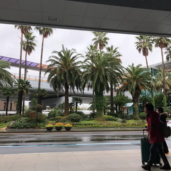 비온 후의 제주 공항（雨の後の済州空港）