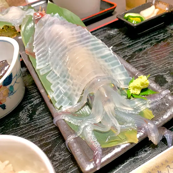 スポット内のおすすめ