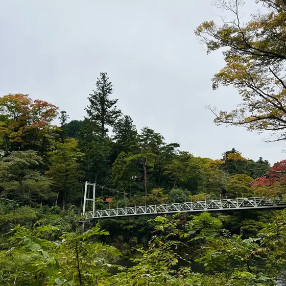 遊歩道からの景色