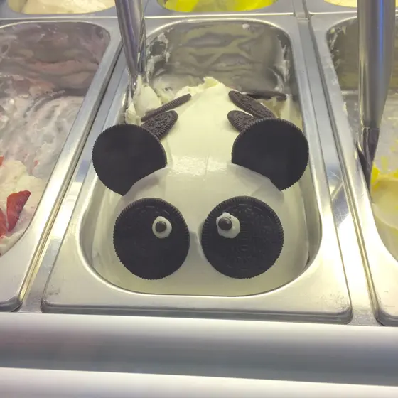 ショーケースからの目線