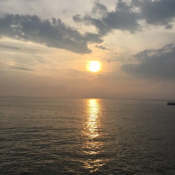 橋を渡るだけでも楽しい。