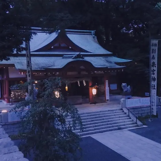 上から眺める景色もなかなか。