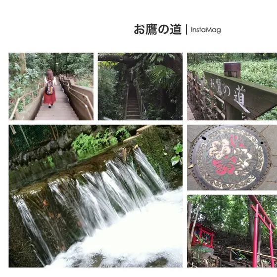 お鷹の道