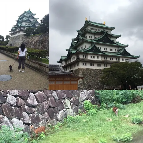 外観を楽しみましょう！