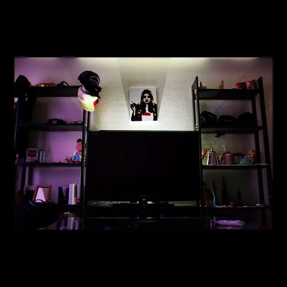 部屋に飾ってみました。
