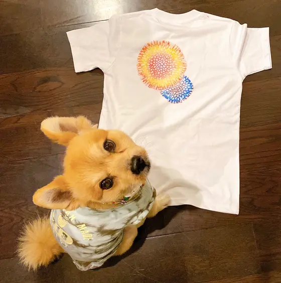 裏