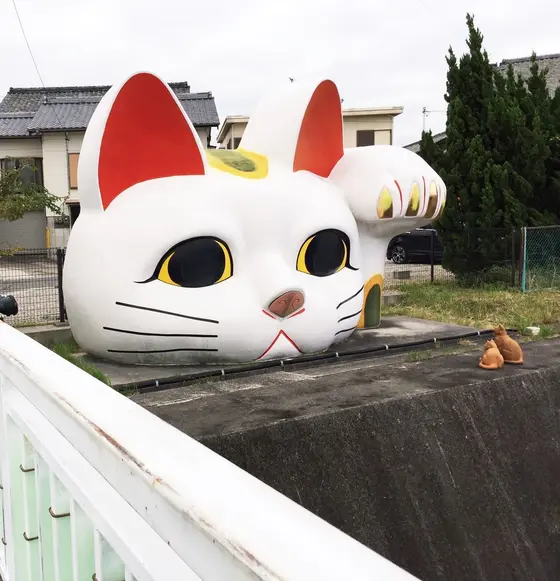 招き猫とこにゃん