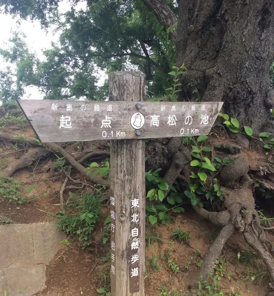 北山散策路