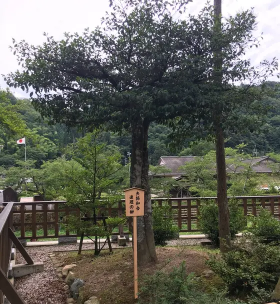 夫婦和合 連理の榊