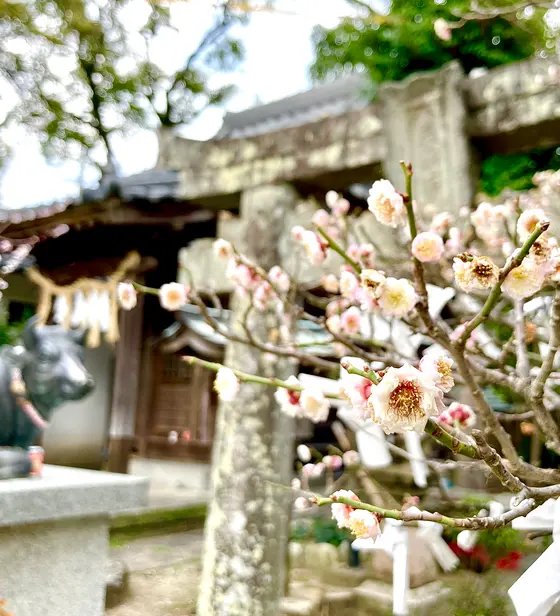 香りに誘われて…