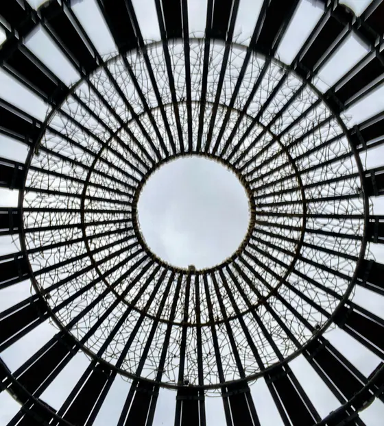 ドームの中から空を