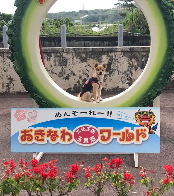 ゴーヤん中で記念撮影