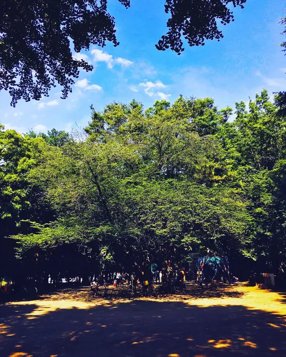 子供用の遊具もある