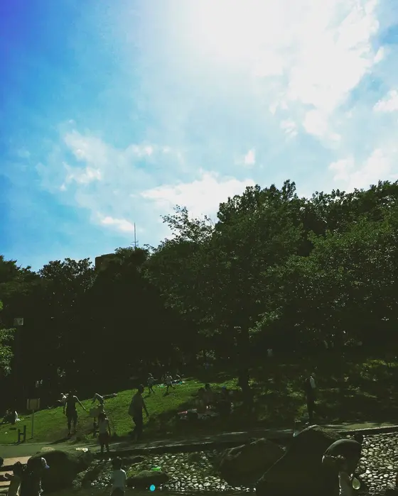 青空の下でピクニック気分