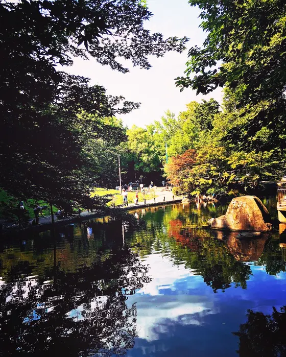 水面に映る景色が綺麗