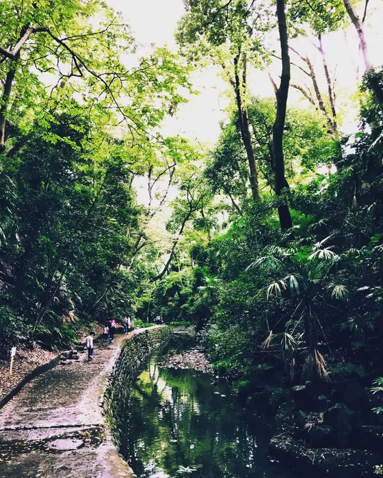 緑が映える散歩道