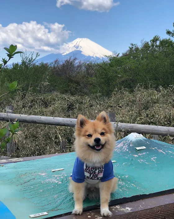 パノラマとともに、、