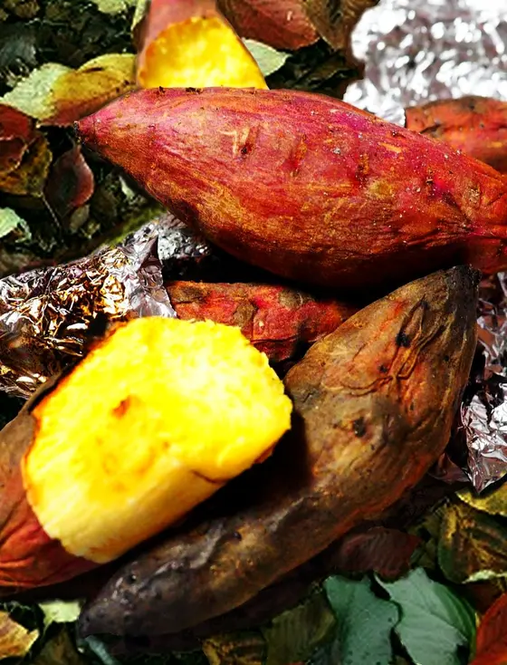 ノースガーデンにて、11月26日限定 焼き芋体験＆プレゼントもあります！