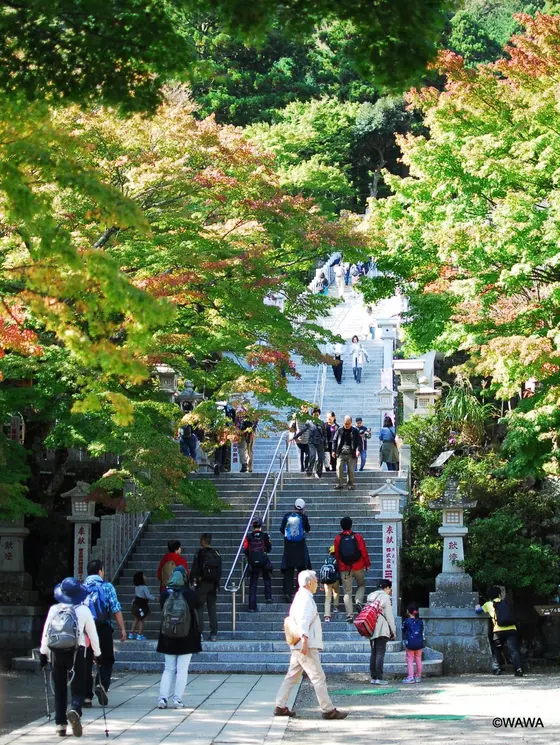 大山阿夫利神社