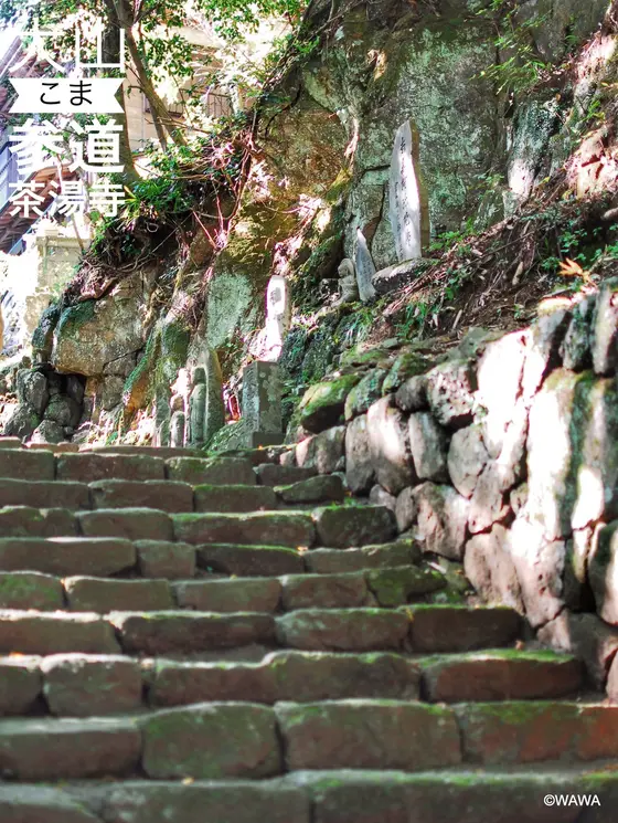 来迎院 山門 参道