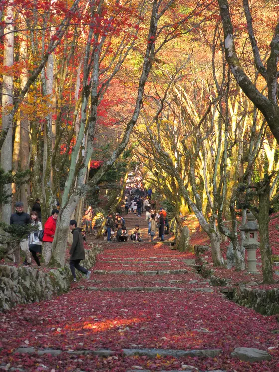 ココがチラシ写真の場所