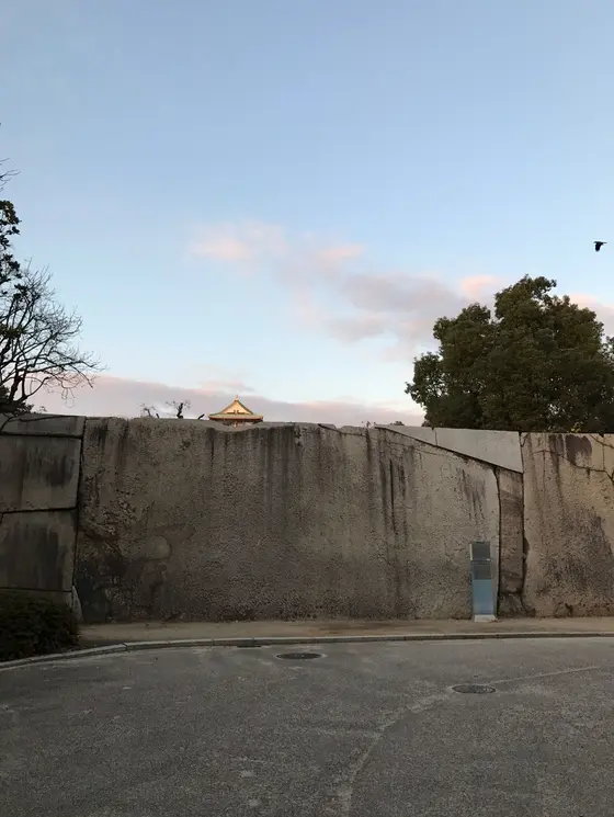 蛸石