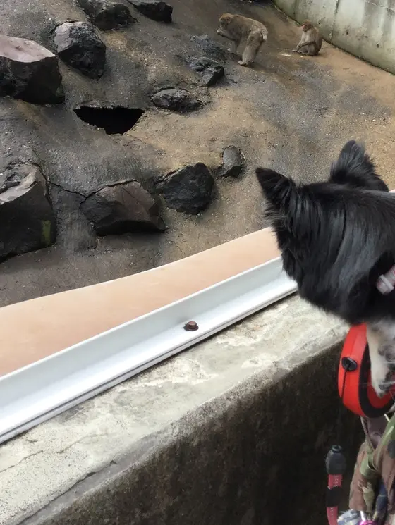 屋外には
