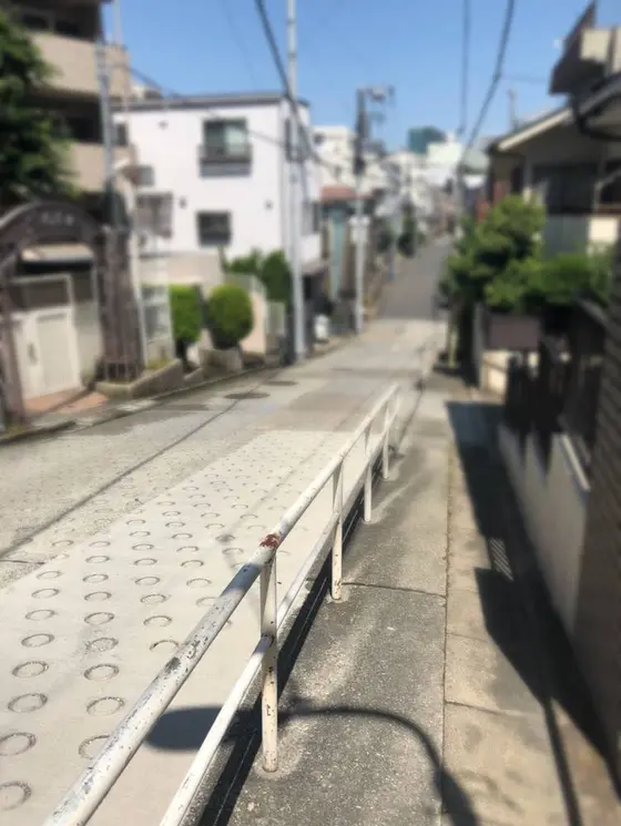 頂上から振り返る。