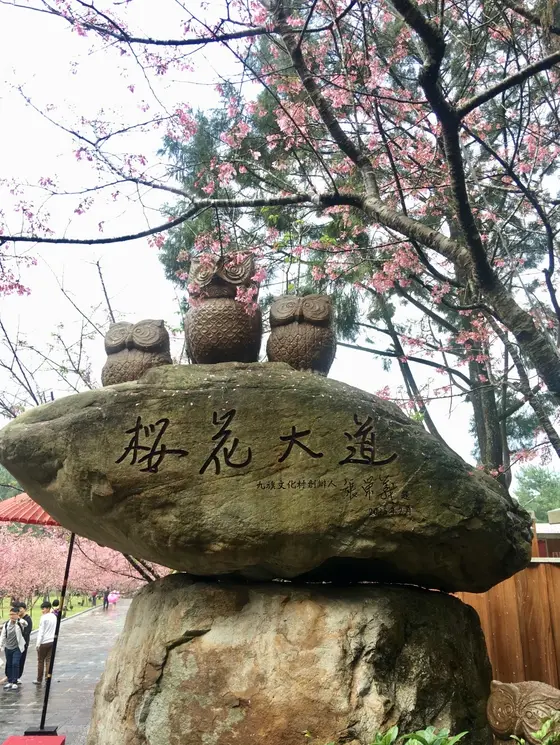 桜花大道(桜通り)