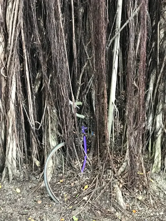 台中文学館