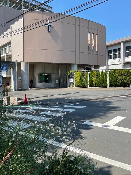 目の前は
