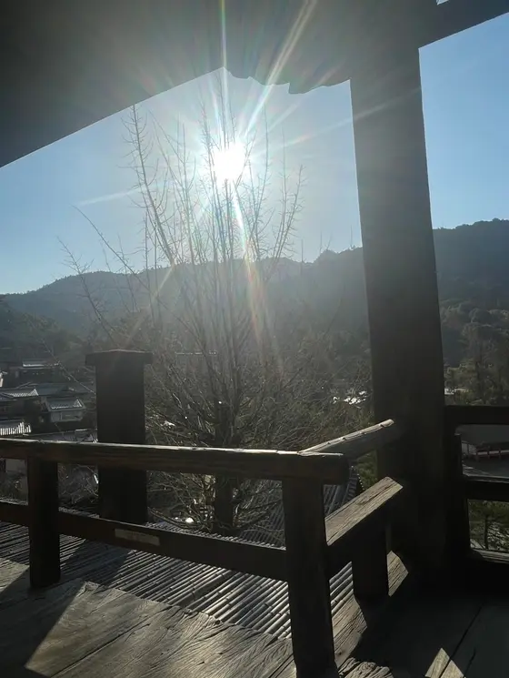朝日がサンサン！