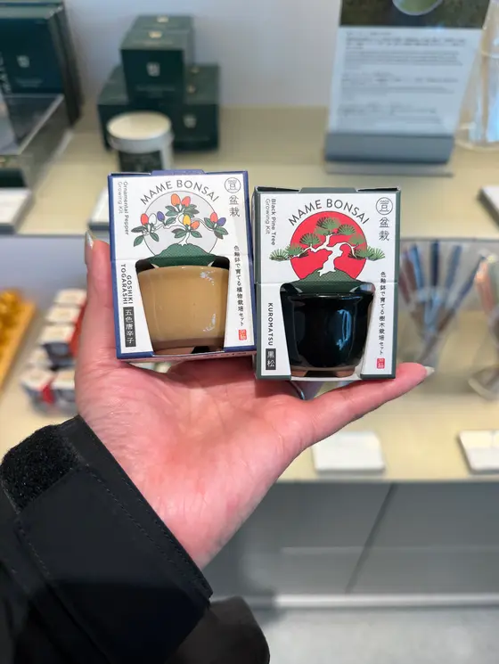 スポット内のおすすめ