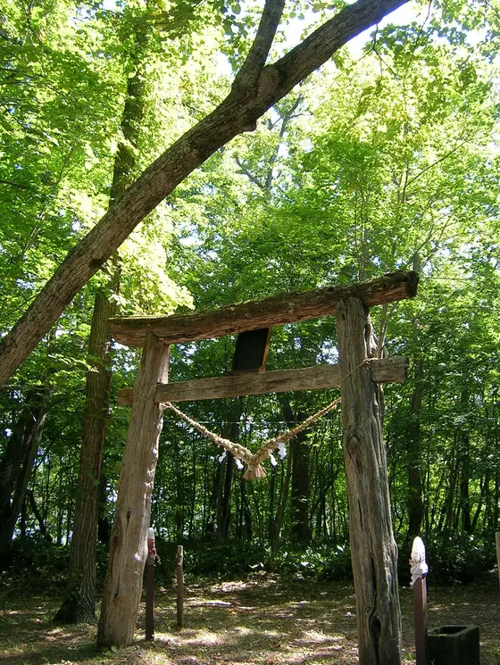半島の中は深い森